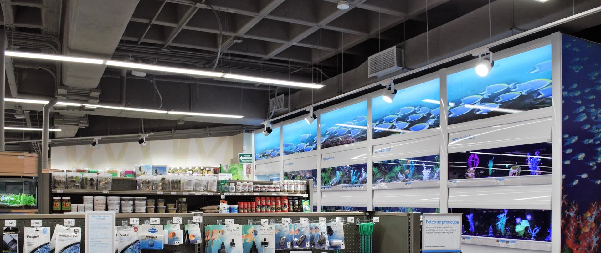 PETCO – Muro de acuarios