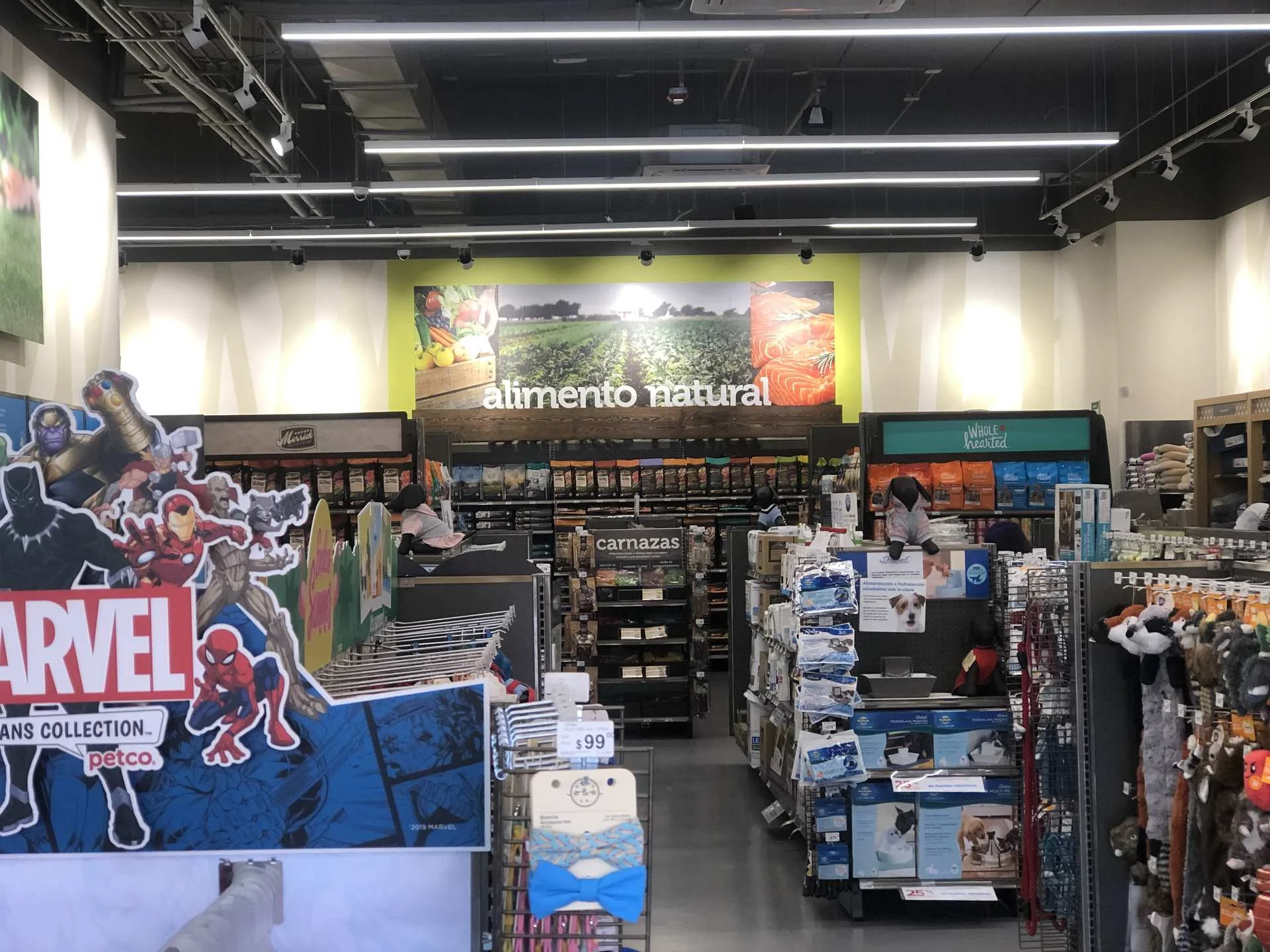 PETCO – Interior