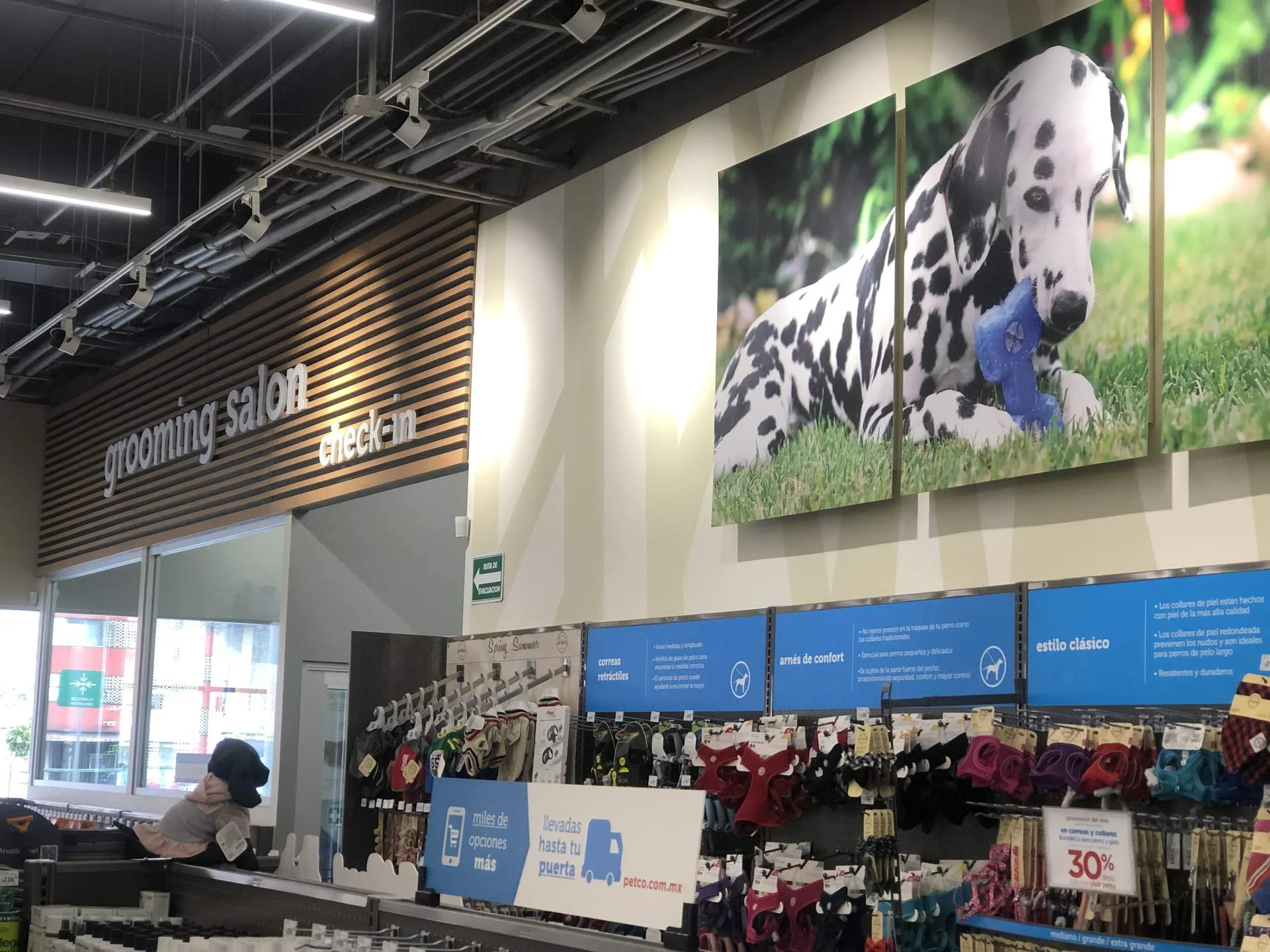 PETCO – Grooming interior
